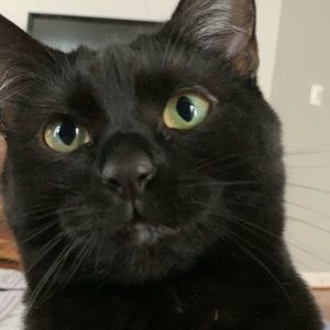 Meet your Posher, Tara